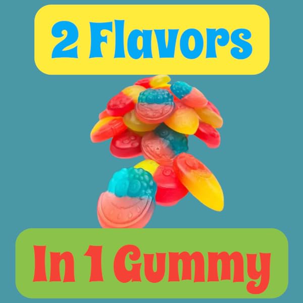 2 In 1 Gummies -1.5 lbs Mini Assorted Fruity Flavors-Snack Size Minis Individually Wrapped-for Irresistible Snacking Delight(24 oz)