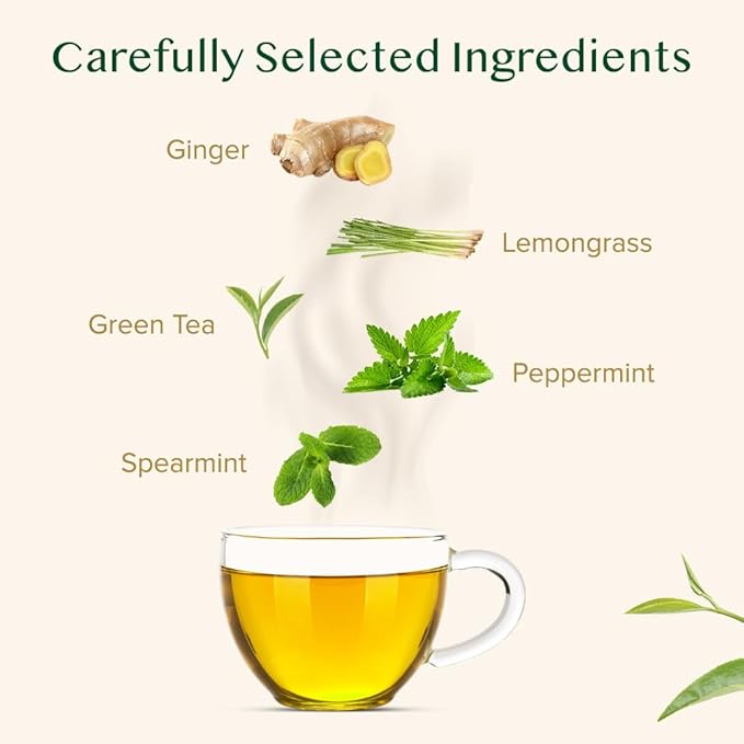 VAHDAM, Ginger Mint Green Tea Bags (100 Count) High Grown Green Tea with Raw Ginger | Medium Caffeine | Non GMO, Gluten Free | Mint Tea Bags | Resealable Ziplock Pouch