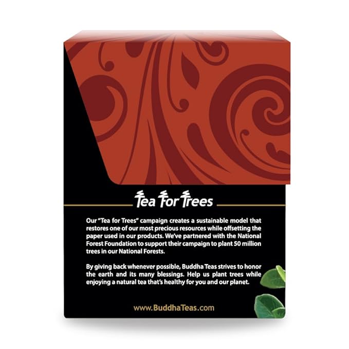 Buddha Teas - Uva Ursi Tea - Herbal Tea - Natural Boost of Vitamins, Minerals, & Antioxidants - Clean Ingredients - Caffeine Free - OU Kosher - Gluten Free - 18 Tea Bags (Pack of 2)