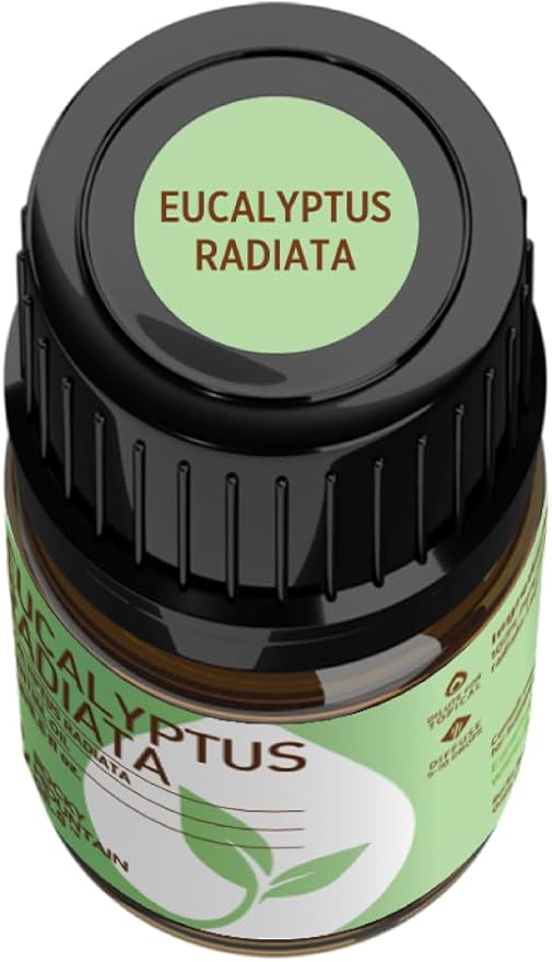 Rocky Mountain Oils Eucalyptus Radiata Essential Oil - Aromatherapy Essential Oils for Diffuser, Topical, and Home - 15ml