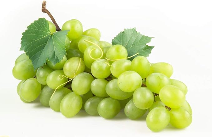 EVERYDAZE Essential C’s Konjac Jelly | Green Grape | Vegan Collagen Peptides and Vitamin C | Gluten Free, Sugar Free, Low Calorie | Healthy Drinkable Fruit Snack | 10 Pack Box Food Drink Pouch