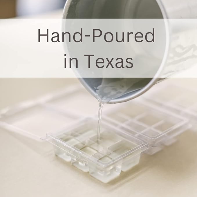 River Birch Candles Sea Salt + Citrus 3-Pack Soy Wax Melts | Premium, All-Natural, Non-Toxic, Soy Candles | 7.5 oz. Total | Cozy Relaxing Gifts for Home | Made in USA