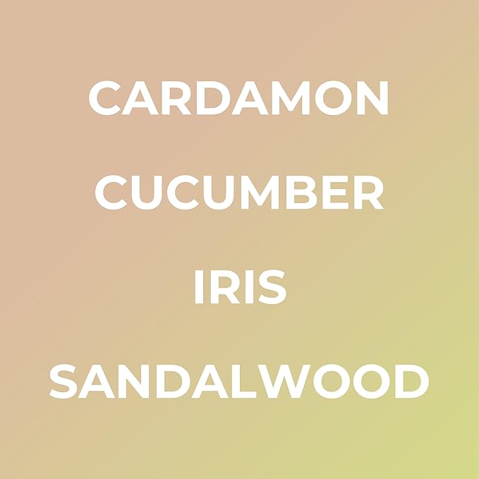 Bright Spot Lush Car Air Freshener - Premium Car Hanging Diffuser, Long-Lasting Fragrance up to 120 days for Auto & Home | Light, Woody & Musk | Cardamom, Lily, Santal, Musk | Non-Toxic, Cruelty-Free