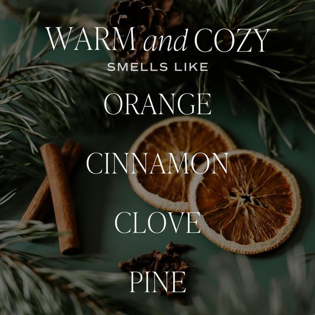 Sweet Water Decor Warm and Cozy Reed Diffuser Set - Orange, Cinnamon, Clove, and Pine Fall and Winter Scented Diffuser - Sandstone Diffusers for Home, Long Lasting Fragrance, Made in The USA