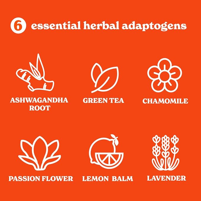 Tranquini Calming Drink With Herbal Adaptogens | Sparkling Water Stress Relief Beverage | Sugar Free, Non Alcoholic, Gluten Free, Vegan - 250ml Ginger Lemongrass (12 cans)