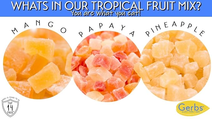Gerbs Tropical Dried Fruit Snack Mix 2 lbs. | Unsulfured, No Additives, Resealable Bag | Lightly Sweet & Juicy Blend | Top 14 Allergen-Free