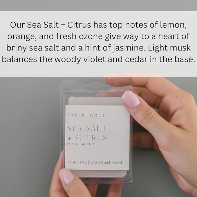 River Birch Candles Sea Salt + Citrus 3-Pack Soy Wax Melts | Premium, All-Natural, Non-Toxic, Soy Candles | 7.5 oz. Total | Cozy Relaxing Gifts for Home | Made in USA