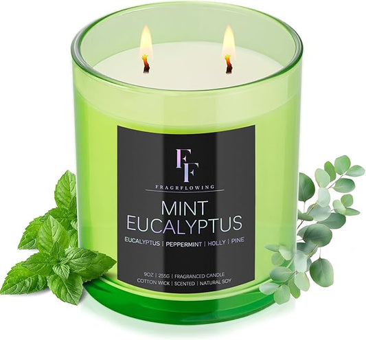 Mint Eucalyptus Scented Candle, 2-Wick Luxury Soy Wax Candle, 9 oz Aromatherapy Candle Home Fragrance Candles Gift