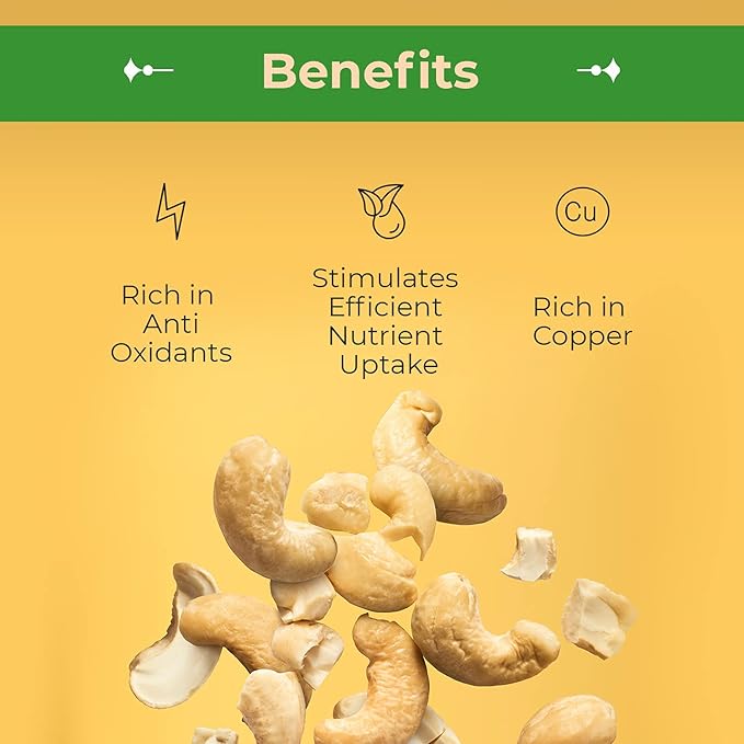 Sincerely Nuts - Raw Cashews Pieces Unsalted | Healthy Snack, Source of Protein | Keto and Paleo Friendly Gourmet Quality Vegan | Organic Cashew Nuts Bulk,2 (LB) Bag