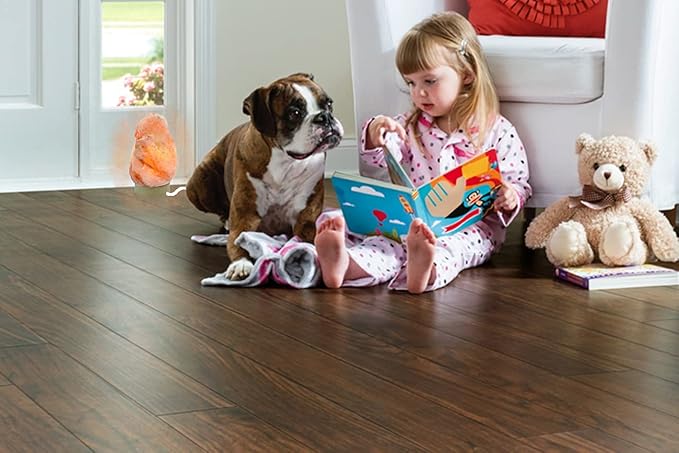 LN-01 Pack of 2 Natural Himalayan Pink Crystal Rock Salt Lamp 6~8 Inch Tall with Dimmer Control Switch, Quality Gift Packaging