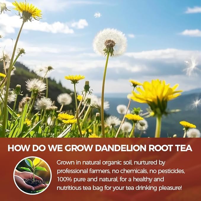 WOTIHA-Natural Dandelion Root tea 120g. 60 Herbal Tea Bags Diente de León .Non-GMO • Additive-Free • Caffeine-Free.No Gluten .Vegan