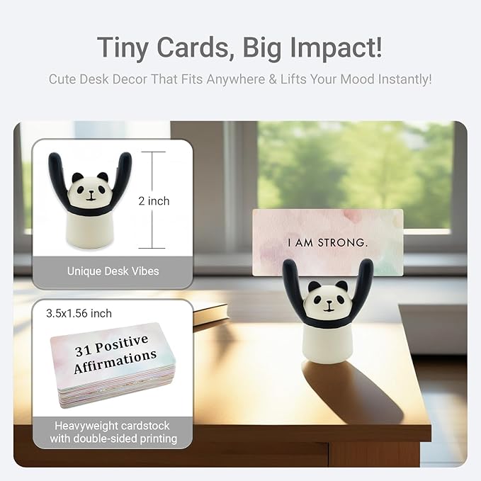 ZEARPT Affirmation Card Deck for Women, Self Care Gift, Positive Affirmation Cards with Holder, Gift for Her, Daughter, Niece, Sister, Daily Affirmations, Midlife Manifestation Gift (White - Panda)