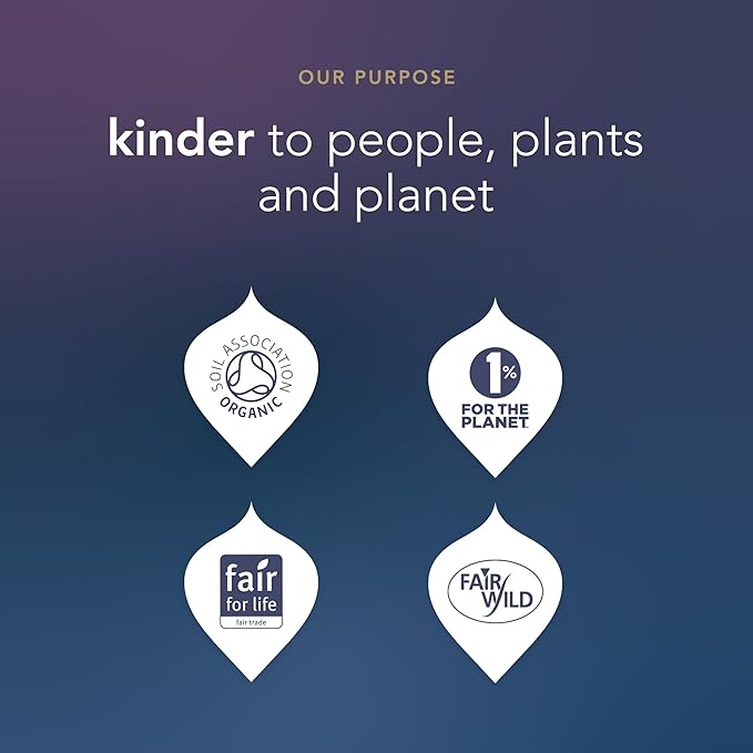 Pukka 2025 Advent Calendar Organic Tea Sampler, Selection of 24 Delightful Black & Green Tea Infusions, Christmas Gift Idea for Tea Lovers, 100% Organic