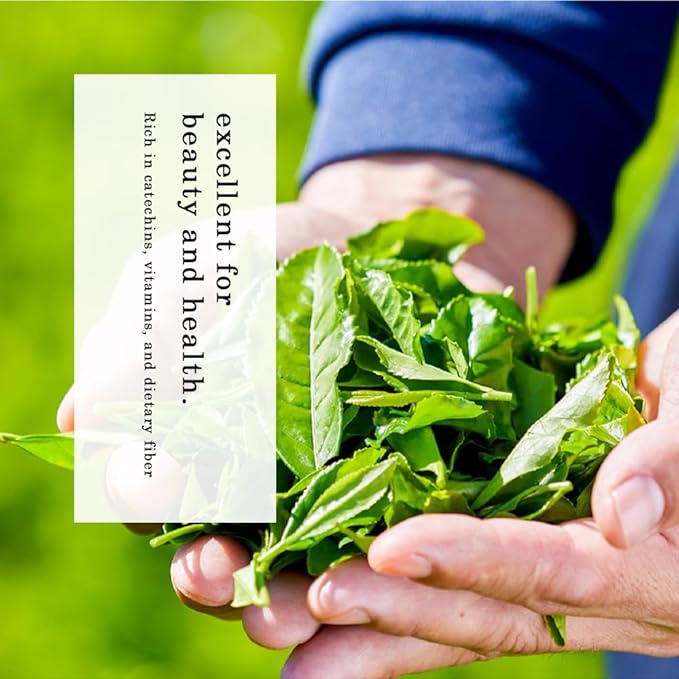 TOMOSAN Hojicha Tea - Japanese Organic Loose Leaf Premium Green Tea - Roasted Kukicha & Sencha Blend, Low Caffeine, USDA Certified, Uji-Kyoto, 100g/3.5oz