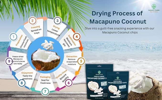 NOKKI FARM Freeze Dried Macapuno Coconut Chips - Healthy & Exotic Tropical Fruit Snacks, Low in Sugar, No Preservatives, Kid-Approved Shelf-Stable & Portable On-The-Go Snacking - 1.76 Oz
