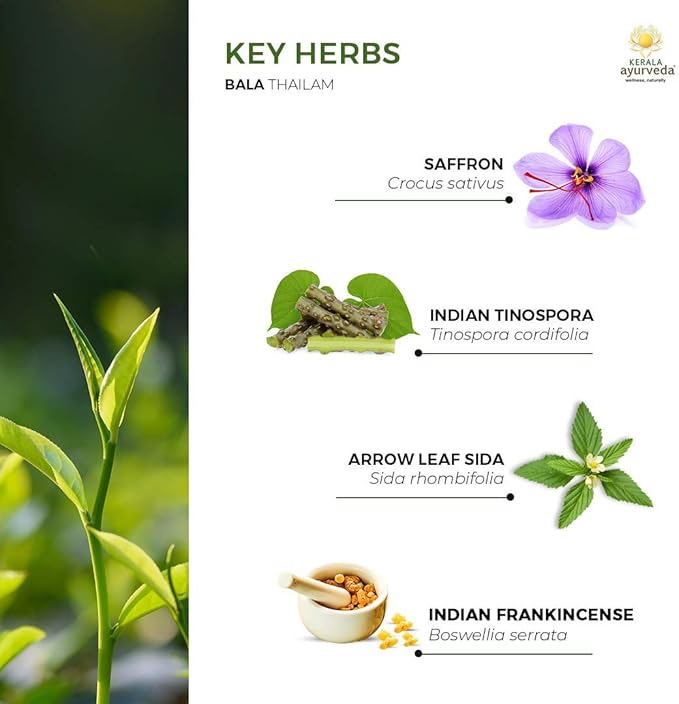 Kerala Ayurveda Bala Thailam - Ayurvedic Daily Massage Rejuvenative Oil for Body - Strengthens & Tones Muscles & Balances Vata, 6.8 Fl Oz