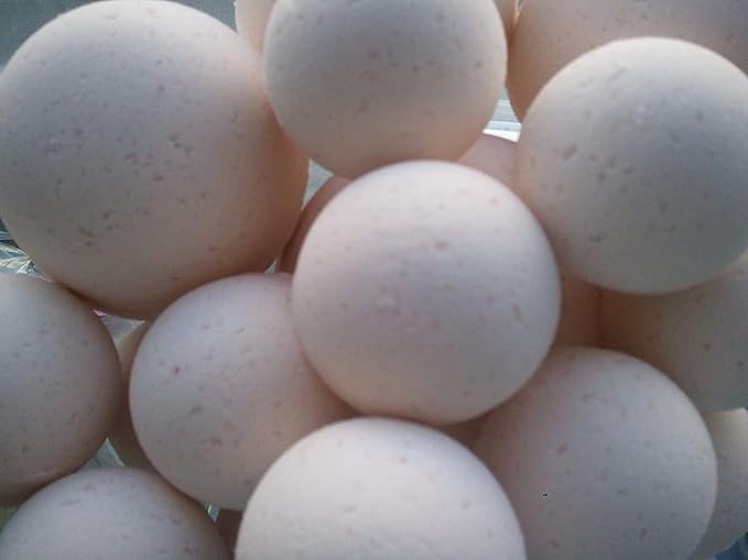 Spa Pure Lavender Chamomile Bath Bombs: USA Made with Shea Butter, Ultra Moisturizing, Great for Dry Skin (14 Count) Pack of 1