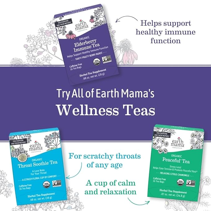 Earth Mama Organic Elderberry Immune Support Tea with Echinacea | Safe for Pregnancy, Breastfeeding, Postpartum, Kids and Family Essentials, Decaf Tea with Ginger & Rooibos (16-Count, 6-PK)