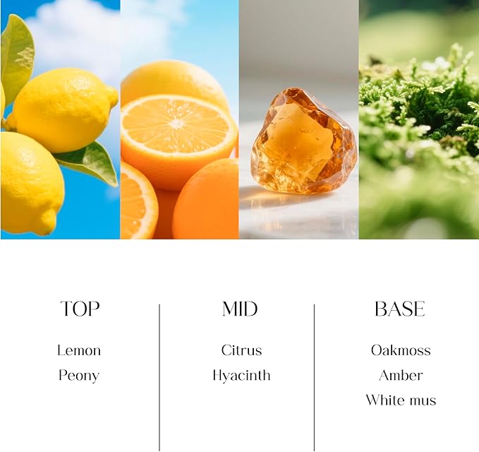 8 OZ Reed Diffusers Set Citrus, Luxury Scented Room Fresheners with 6 Reed Sticks, Luxury Blue Glass Bottle for Bathroom Office Shelf Decor