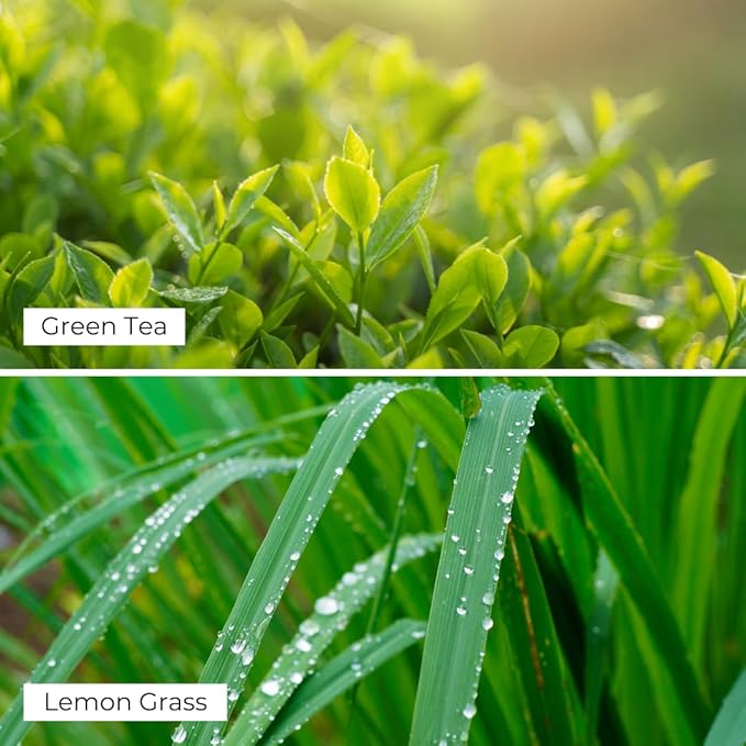 Air Esscentials Frosted Green Tea Lemongrass Reed Diffuser Set - Decorative Fragrance Diffuser & Oil for Bathroom & Home | Long-Lasting Aroma | Natural Scent Sticks | Essential Oils, Botanicals| 100mL