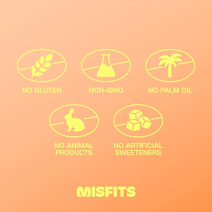 Misfits Vegan Protein Bars, Peanut Butter Fudge - Updated Recipe | Plant Based, Low Sugar & Carb, High Fiber Snacks | Pack of 12