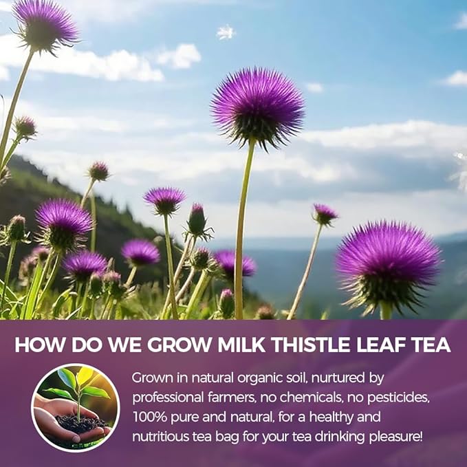 WOTIHA-Natural Milk Thistle Leaf Tea 180g.60 Herbal Tea Bags. for Liver Support .Detox Tea.Non-GMO • Additive-Free • Caffeine-Free
