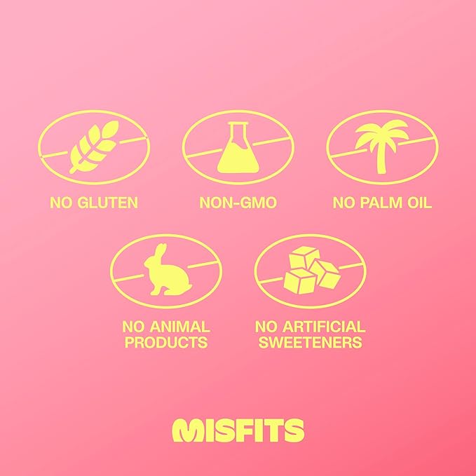 Misfits Vegan Protein Bars, Cookie Butter - Updated Recipe | Plant Based, Low Sugar & Carb, High Fiber Snacks | Pack of 12