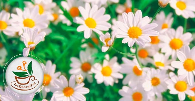 TeaDeam Tea Chamomile Tea Bags | Caffeine-Free & Sleep Time Tea | Chamomile Flowers Aroma - For Relieving Stress | Brew Hot Or Iced | 400 Tea Bags