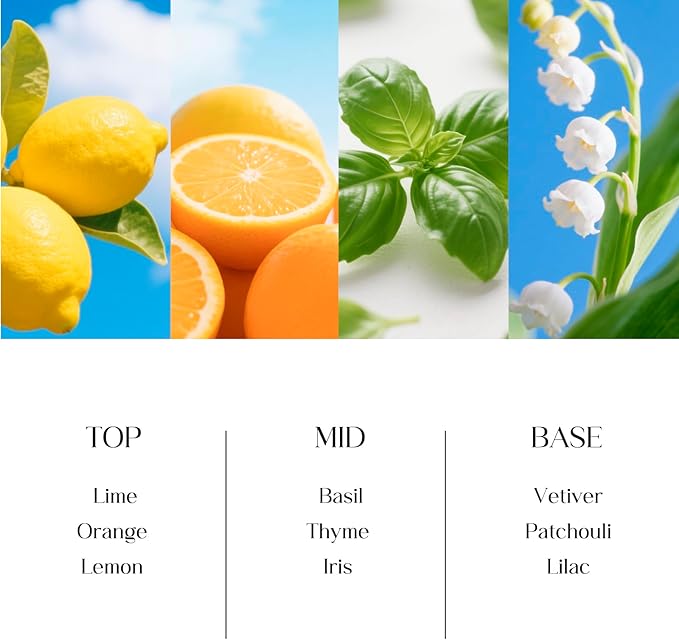 Reed Diffusers Set, 8 Oz Fresh Scented Diffuser, 6 Reed Diffuser Sticks, Home Fragrance Aromatherapy Oil Diffuser Reeds, Blue Bathroom & Office Decor 240 ml