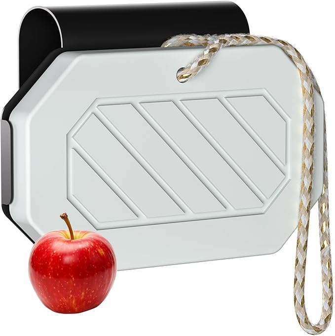 2 in 1 Car Air Freshener, Stone Car fragrance Diffuser Auto Interiors Odor Eliminator, Durable Magnetic Visor Clip & Hanging Air Fresheners - AppleOrchard