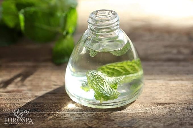 EuroSpa Aromatics Pure Eucalyptus Oil ShowerMist and Steam Room Spray, All-Natural Premium Aromatherapy Essential Oils - Mint Infused, 2oz, 2 Pack