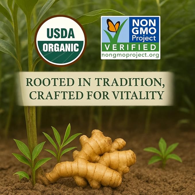 Organic Ginger Tea (100 tea bags | 7 oz | 200g) - Supports healthy circulation and digestion