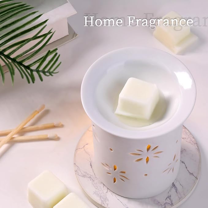 LETINE Wax Melts 2.5oz(1 Pack), Coconut Scented Wax Melts, 100% Soy Wax Melts Wax Cubes with All- Natural Strong & Non Toxic Essential Oil for Warmer, Gifts Set for Home Fragrance/Spa Aromatherapy