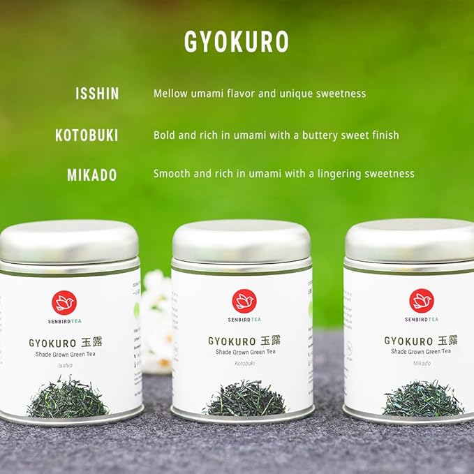 Senbird Premium Gyokuro, Japanese Shade Grown Green Tea - From Kyoto Japan - Imperial Loose Leaf Green Tea In Airtight Tea Tin (1.76oz/50g) (Ishin)