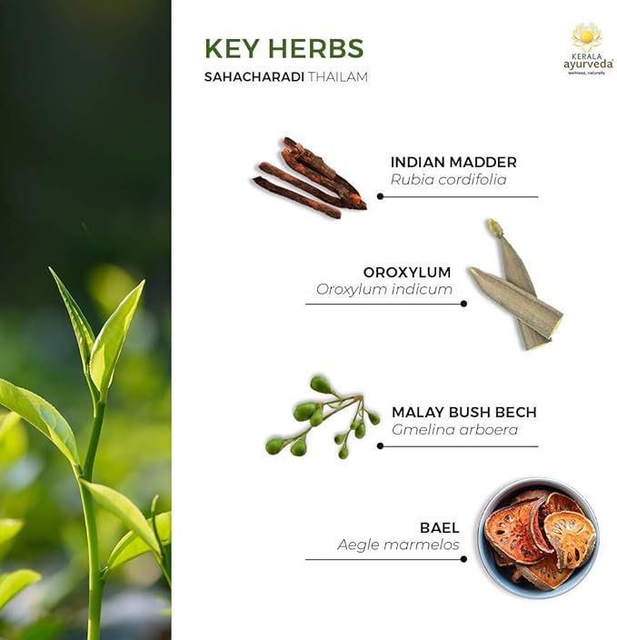 Kerala Ayurveda Sahacharadi Thailam - 6.76 Fl Oz | Herbal Massage Body Oil | Lower Back and Legs Support Oil | Enhances Healthy Circulation | Natural Muscle, Joint, & Ligament Relaxant