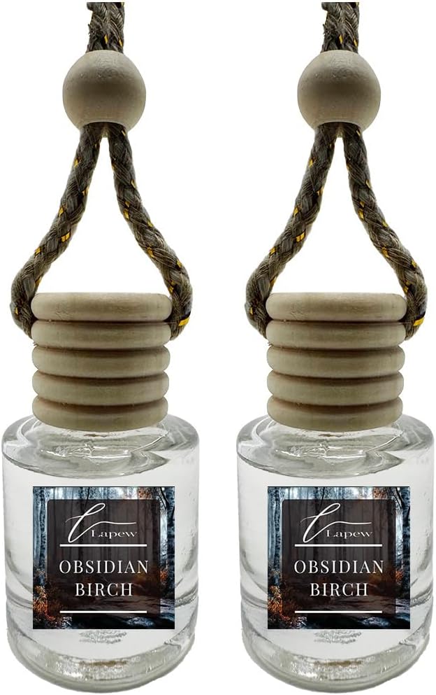 Car Air Freshener Diffuser – 2 Pack Hanging Air Freshener Diffuser (.34 Oz, Obsidian Birch)