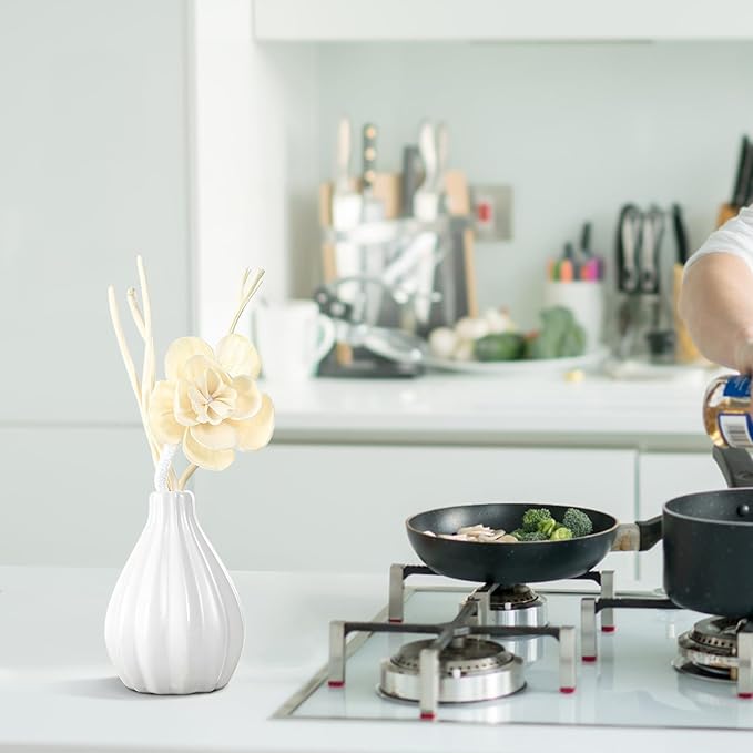 Reed Diffuser Set, Home Fragrance & Decorative Diffuser, Dried Flower Aromatherapy Oil Set, Oil Diffuser Sticks, Ceramic Bottle 5.07 oz(150ml) /1 Pack (Aqua Lily)