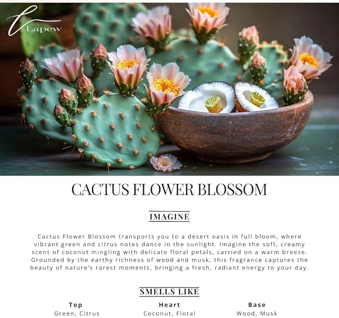 Car Air Freshener Diffuser – 2 Pack Hanging Air Freshener Diffuser (.34 Oz, Cactus Flower Blossom)