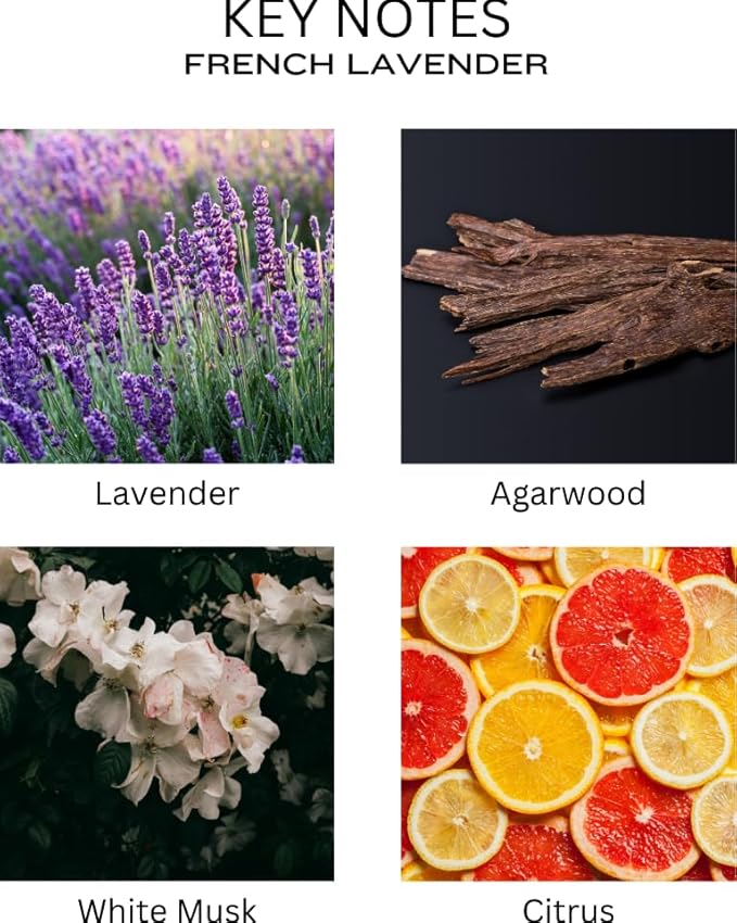 Reed Diffuser Set - French Lavender Oil, Oil Diffuser Sticks, Bathroom Diffuser, Bathroom Decor, 200ml with Preserved Flowers - PEANÄK