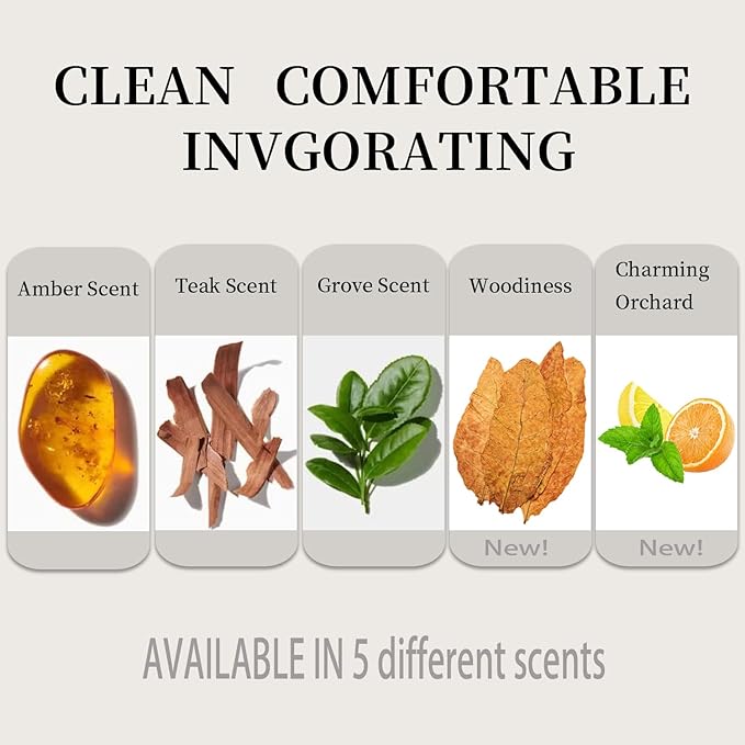 Car Air Freshener - Stone Air Freshener - Car Odor Eliminator - Visor clip Scent Starter Kit - Amber Scent Refill (Pack of 3)