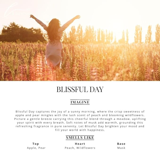 Car Air Freshener Diffuser – 2 Pack Hanging Air Freshener Diffuser (.34 Oz, Blissful Day)