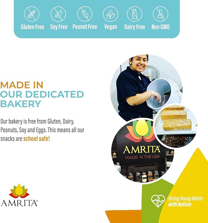 Amrita Nut Free 6 Flavor Variety Pack Vegan Protein Bars (12 CT) | 11g to 12g Plant-Based Protein Bar | Peanut Free, Gluten Free, and Dairy Free | Low Sugar, High Fiber, Healthy School-Safe Snacks