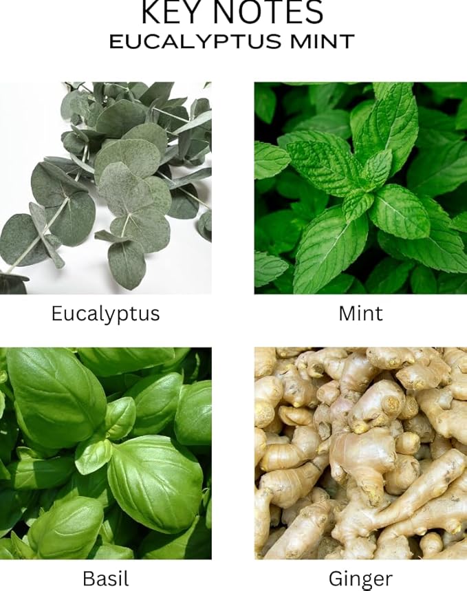 Reed Diffuser Set - Eucalyptus Mint Oil, Oil Diffuser Sticks, Bathroom Diffuser, Bathroom Decor, 200ml with Preserved Flowers - PEANÄK