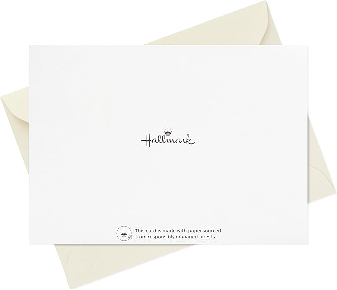 Hallmark Thank you Cards Assortment, Gold Foil Solids (24 Thank You Notes with Envelopes)