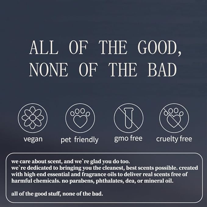 Car Air Freshener - Stone Air Freshener - Car Odor Eliminator - visor clip Scent Starter Kit (Pack of 1 Woodiness Scent)