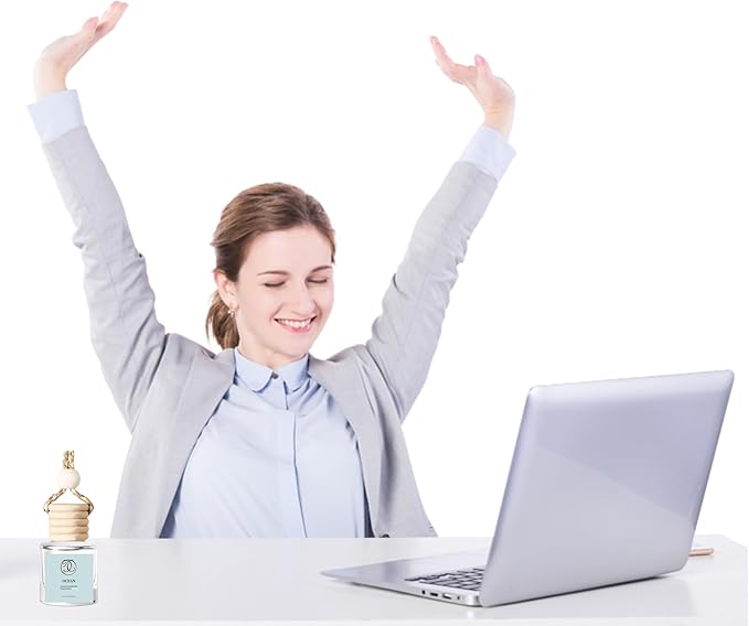 2Pack Ocean Breeze Scented Automotive Air Freshener Set, Car Accessories Decoration Hanging Scented Car Diffuser for Men Women Best Gifts