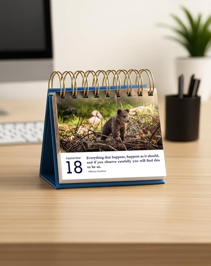 2025-2026 Stoic Meditations Perpetual Calendar: 366 Stoic Quotes for Reflection and Growth Daily Flip Calendar