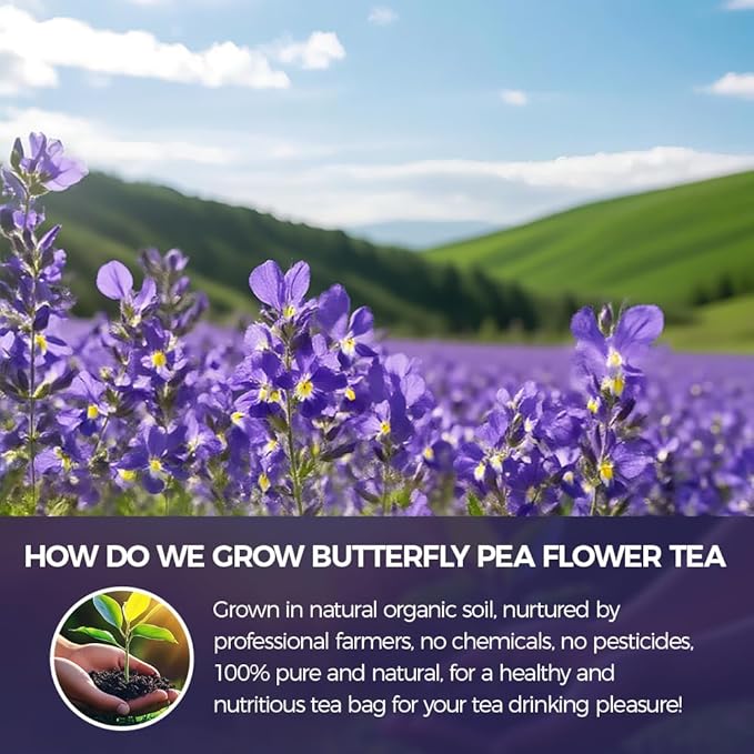 WOTIHA-Natural Butterfly Pea Flower Tea 75g.100% Natural Butterfly Pea 50 Herbal Tea.Non-GMO • Additive-Free • Caffeine-Free • Sugar-Free • Vegan