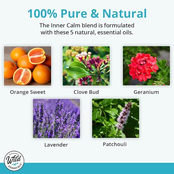 Wild Essentials Exquisite Signature Essential Oil Blend Inner Calm, Two 10 ML Bottles - Pure Essential Oils Synergy Blend, New Label, Same Formula