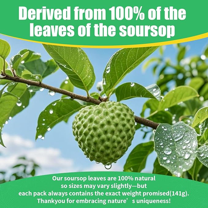350+ Soursop Graviola Dried Leaves for Tea - 100% Natural Whole Dried Soursop Leaves, 5oz (141 g), No Additives or Preservatives, Herbal Tea, Caffeine Free, Sugar/Soy/Gluten Free
